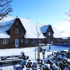 Hus Waasluuper *Seeschwalbe* - Bild 12
