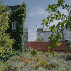Boutiquehotel Stadthalle by Cocoon - Bild 25