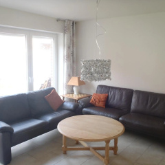 Borkumperle - Bild 9