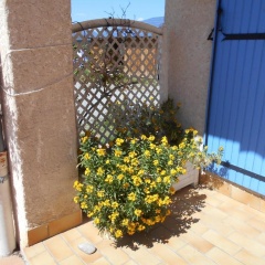 les Passerons photo 2