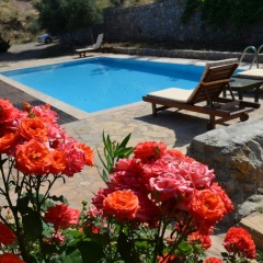 Faralya Limon Hotel - Bild 12
