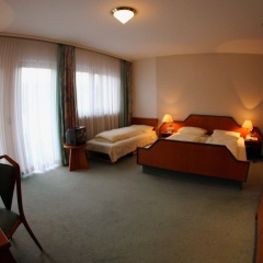 Pohl's Rheinhotel Adler - Bild 3