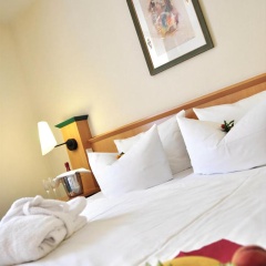 Harzer Kultur- & Kongresshotel Wernigerode - Bild 3