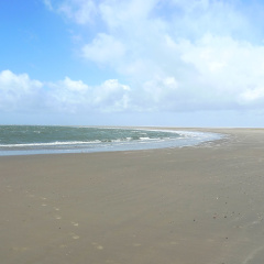 Inselperle - Bild 15