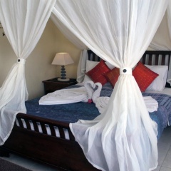 Sudani Bale Homestay - Bild 8
