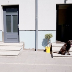 Hotel Stadthaus - Bild 18