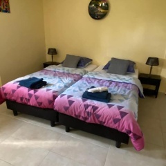 Green Paradise Apartment - Bild 3