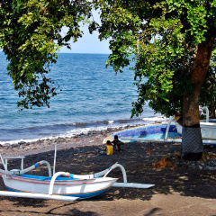 Bali Dive Resort and Spa - Bild 18