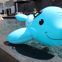 Novotel Phuket Kamala Beach - Bild 16