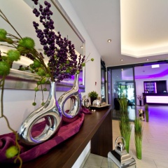 Wohlfühl - Hotel Neu Heidelberg - Hotel Heidelberg - Bild 15