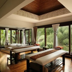 The Samaya Ubud Bali - Bild 6
