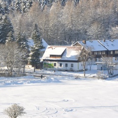 Hotel & Hostel Drei Bären - Bild 15