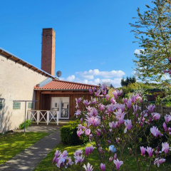 Ferienwohnung Bad Doberan - mit Garten und Terrasse - Bild 1
