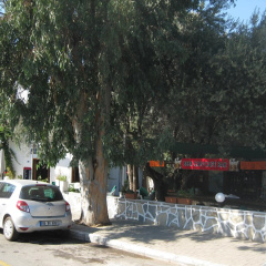 Bircan - Bild 13