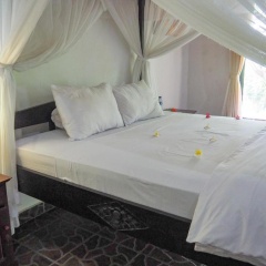Scuba Tribe Bali dive-resort - Bild 3
