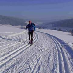 Hotel Schwarzwaldgasthof Zur Traube - Bild 17