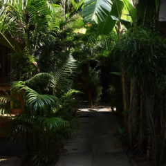 Mantra Yoga Resort thumbnail 4