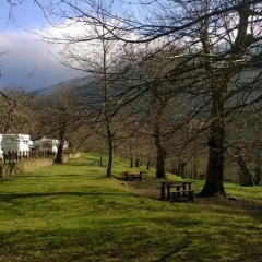 Camping Camaldoli