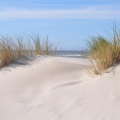 Seevilla Wietjes Whg 6 - Bild 9