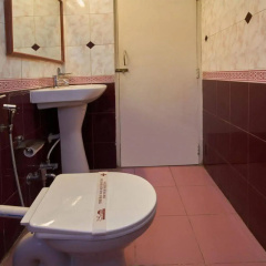Hotel Swan Inn thumbnail 13