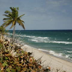 DoubleTree by Hilton Grand Hotel Biscayne Bay - Bild 25