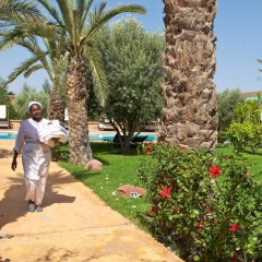 Manzil La Tortue - Bild 22