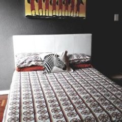 AmiBeth Guest Cottage in Cape Town, South Africa from 83$, photos, reviews - zenhotels.com photo 2