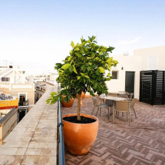 Joya del Casco Boutique Hotel - Bild 24