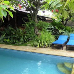 Lovina Beachhouse Villas - Bild 4