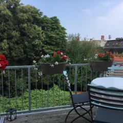 Gro 13 - Bild 9