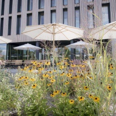 Bader Hotel - Bild 16