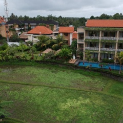 Byasa Ubud - Bild 15
