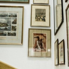 Haus Seeblick - Bild 12