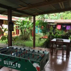 Hakuna Matata Hostel thumbnail 23