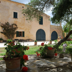 Agroturismo Son Not - Bild 13