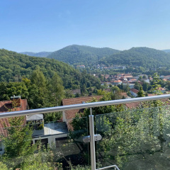 Harz Living - Ferienwohnungen mit Traumblick - Bild 22