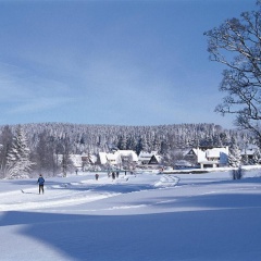 Drei Tannen - Wohnung 09 - Apartmenthaus, Titisee, Feldberg - Bild 7