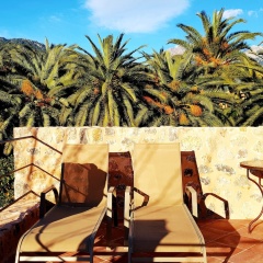 Finca Ca´s Curial - Bild 23