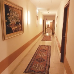 Hotel Haydn - Bild 18