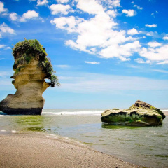 Te Hui House thumbnail 31