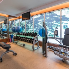 Dusit Suites Hotel Ratchadamri, Bangkok - Bild 19