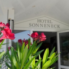 Hotel Sonneneck - Bild 1