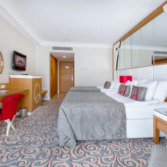 Q Premium Resort Hotel - Bild 7