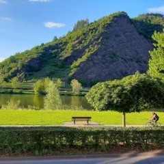 Ferienwohnungen Mosella - Bild 13