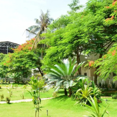 Manila Resort thumbnail 26
