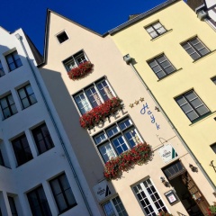 Hayk - Bild 1