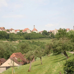 Glocke Weingut und Hotel - Bild 14