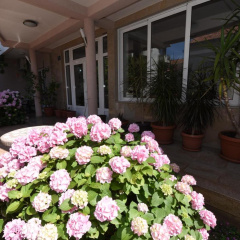 Guest House Zec thumbnail 13