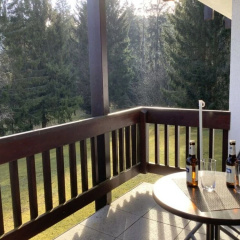 Huis Hochfirst Appartement 9 - Bild 12