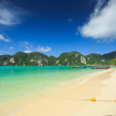 Papaya Phiphi Resorts